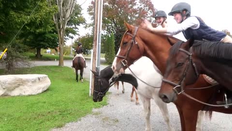 Riding Our Horses To McDonalds