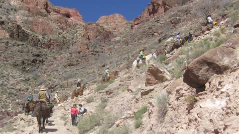 Mule Riders above the Tipoff - Grand Canyon National Park