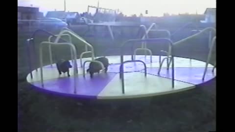 Fat Dachshunds Use Merry-Go-Round To Get Some Exercise