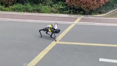 Robot dog patrols the empty streets of Shanghai with a loudspeaker