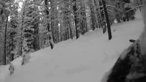 Powder stash at Grand Targhee, Wyoming