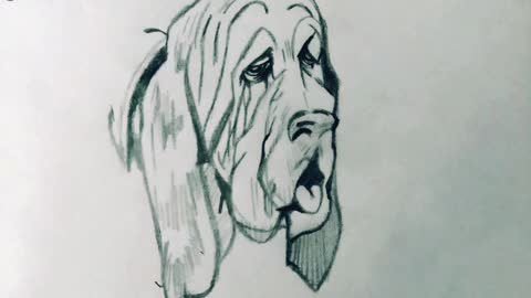 El mejor dibujo de un perro en rumble