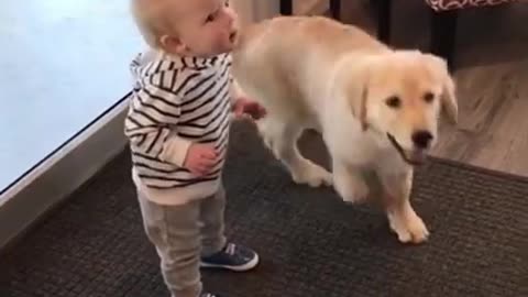 Funny baby and dog best video,,,,
