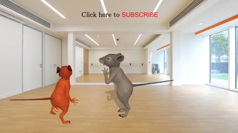 Funny Rat dance 19S VIDEO