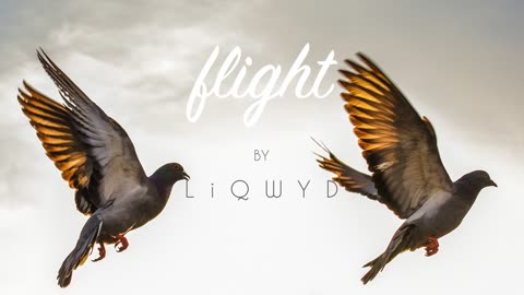 LiQWYD - Flight