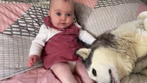 Cute baby's and cute dog expression and fun..