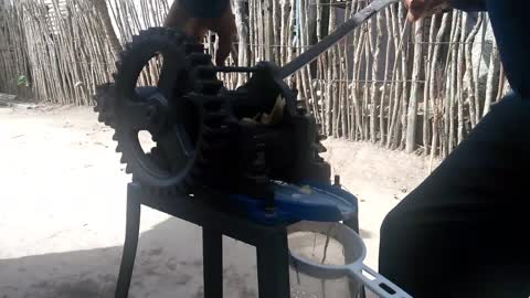 SUGAR CANE GRINDER (MOEDOR DE CANA / ENGENHO DE CANA)