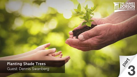 Planting Shade Trees - Part 3 with Guest Dennis Swanberg