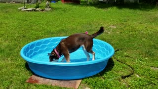 Summer water fun