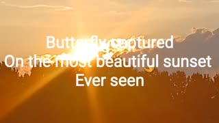 Butterfly captured on the most amazing sunset