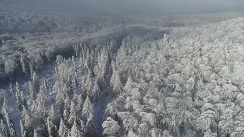 Snowy Snow Mountain Scenery