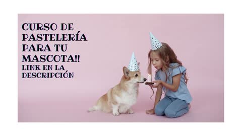 Pastelería canina y felina