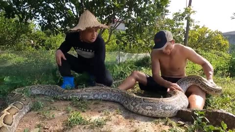 Big- Snake