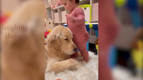 Baby dog video, Laughing Therapy... comedy video