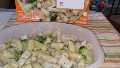 Eating Lean Cuisine Alfredo Pasta With Chicken & Broccoli, Dbn, MI, 8/1/24