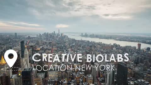 Your Professional Antibody Solution Provider—Creative Biolabs