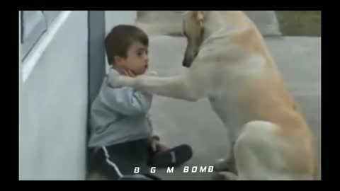 Humanity whatsapp status | Heart breaking video | Dog's love towards special child