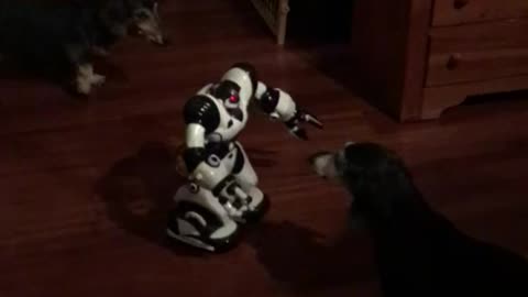 Attacking Robot 1