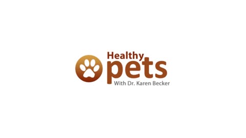 Pets & Human Health Benefit Grounding to Earths electrons - Dr. Karen Becker & Clint Ober