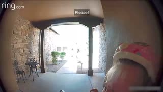 Taylor Talks to Her Neighbour on Ring Video Doorbell After Running Away from a Bobcat