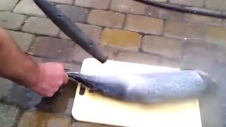 How to clean fish remove scales in seconds - pressure washer