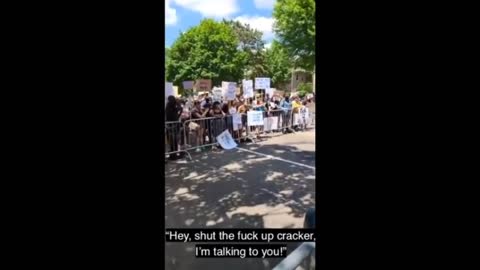 Anti-White Racists Harass Lives Matter Protesters