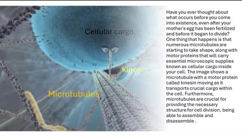 Motor Proteins