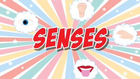 Five Senses / Kids Song