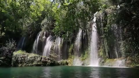 Waterfall sounds # birds chirping sound