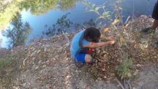 Texas Pond Series (Fox Park)