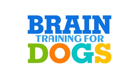 How to train a dog effectively - step by step guide