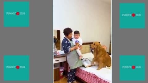 Dogs Make the Best Caregivers. #shorts Adorable Dog Takes Care of Newborn Baby