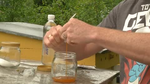 Bacteria-treated honey cures wounds and offers antibiotic resistance hope