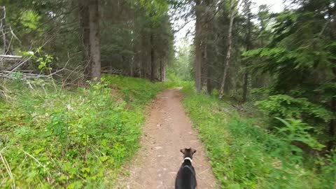 Trail Running with Queen