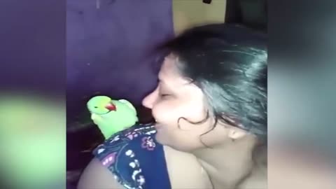 Taking and Kissing with Lady/Funny Parrots Video/ Best Cute Parrot