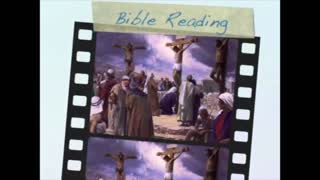 November 23rd Bible Readings