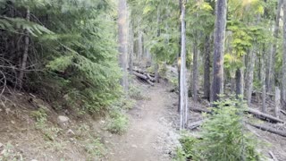 Crescent Mountain Trailhead – Willamette National Forest – Central Oregon – 4K