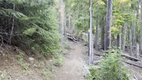 Crescent Mountain Trailhead – Willamette National Forest – Central Oregon – 4K