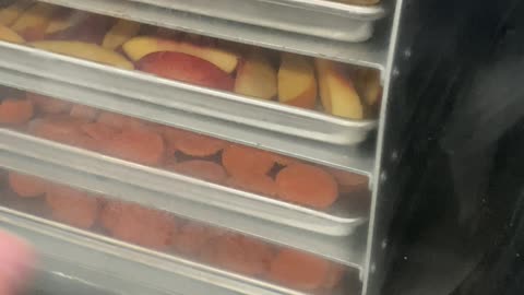 Fruits And Veggies Together In The Freeze Dryer!