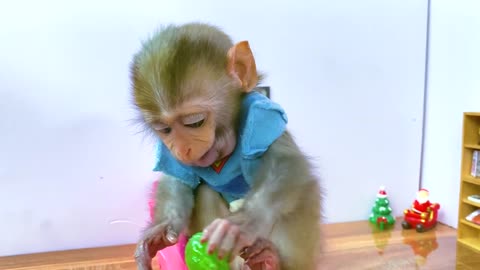Little Monkey Bip Bip doing shopping in Fidget Toys and Lollipop store