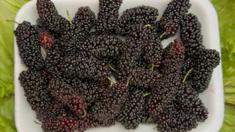 Sweet and healthy mulberry magic