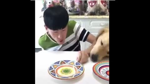 Eating race between a dog and a human being. Death from laughter
