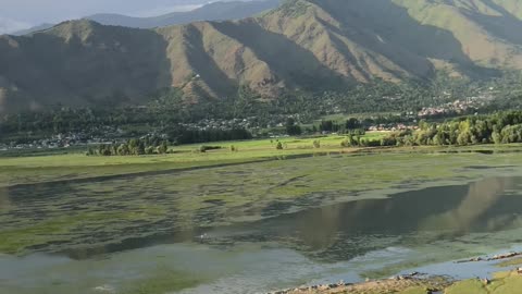 You would have probably seen this scene of paradise #wular lake srinagar