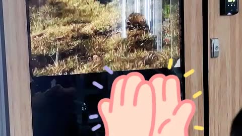 watch a film from the big size touch screen of a vending machine