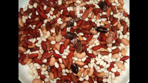 Prof 1 Chris Gillard on Dry Bean Agronomy