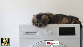 Washing Machine Sound 5 Minutes