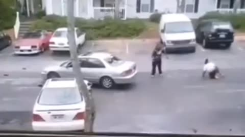 Attack a car then expect to get run over