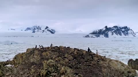 Antarctica_ The Last Wilderness On Earth