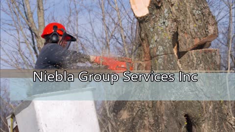 Niebla Group Services Inc - (951) 607-2128