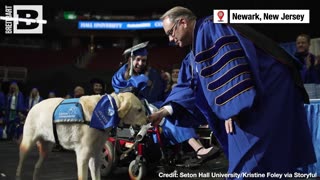 A HEARTWARMING TAIL! Service Dog Receives Diploma at Owner's Graduation